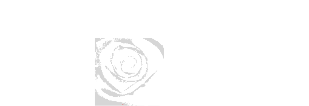 Rosen-Apotheke